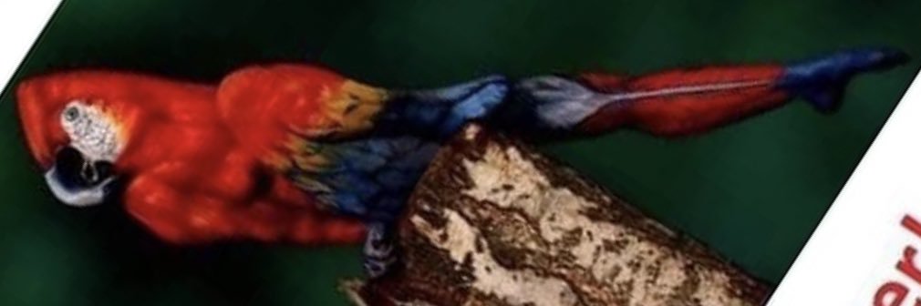 Al_buturo's profile banner image