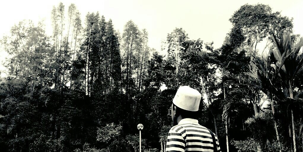 mustaqimWN's profile banner image