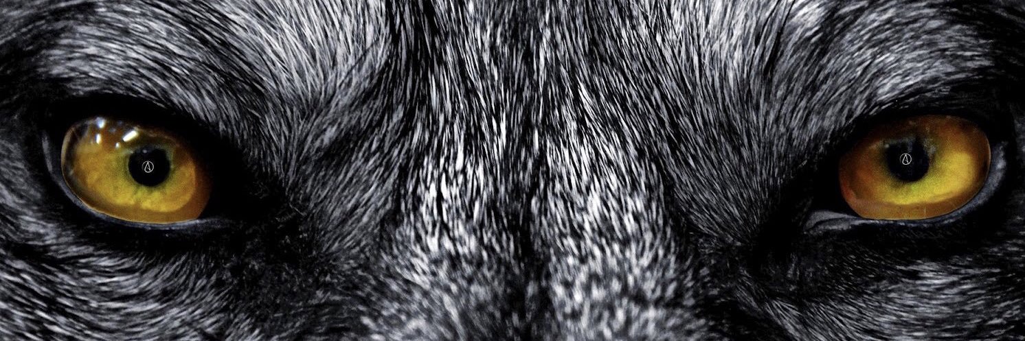 PADDYXC's profile banner image