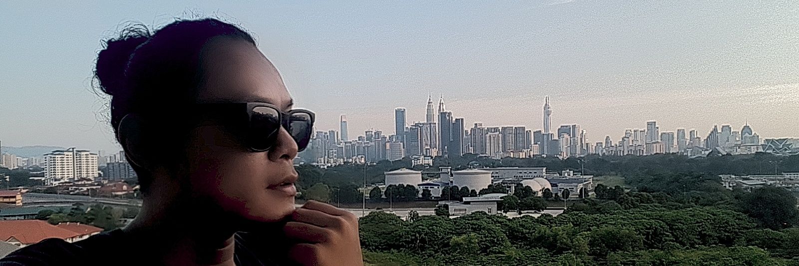 shaiful shariffudin banner