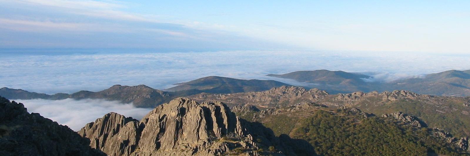 Carlos Cabezas banner