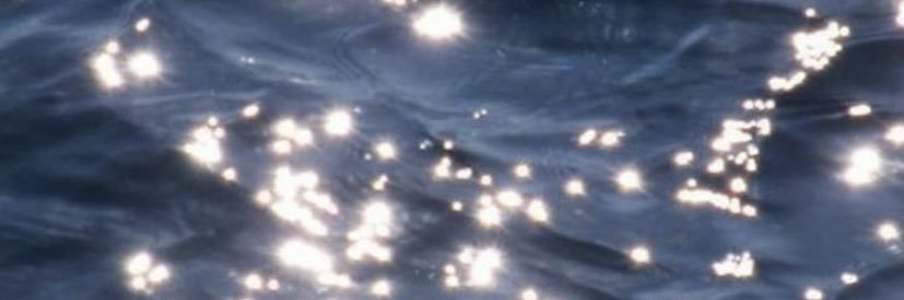 tmoatley's profile banner image