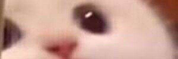 Poxyhh Profile Banner