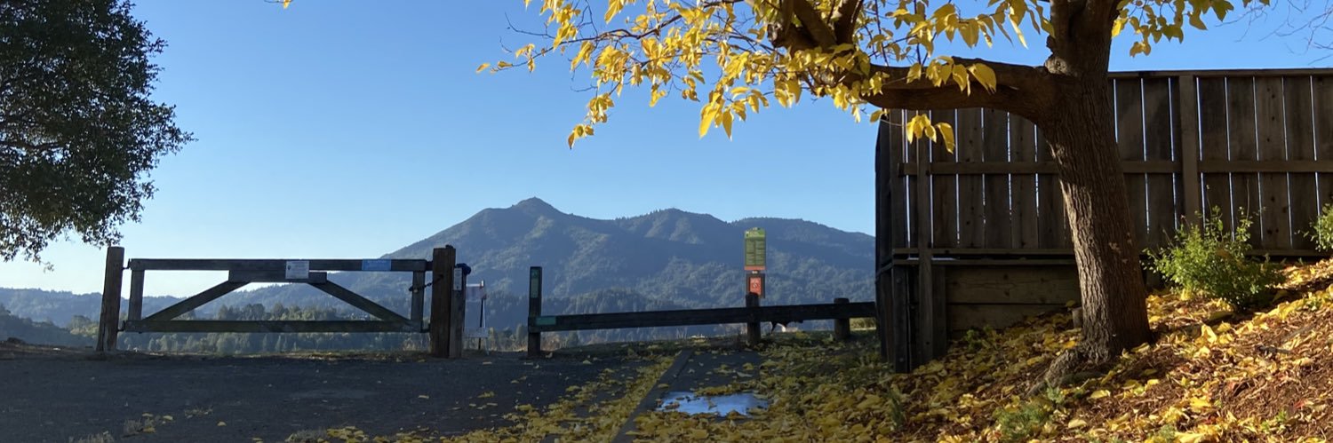 glenda carroll banner