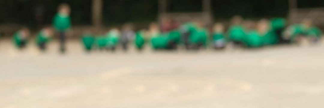 Whitehouse Common banner