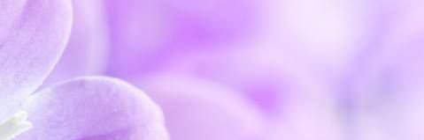 Melabeth87's profile banner image