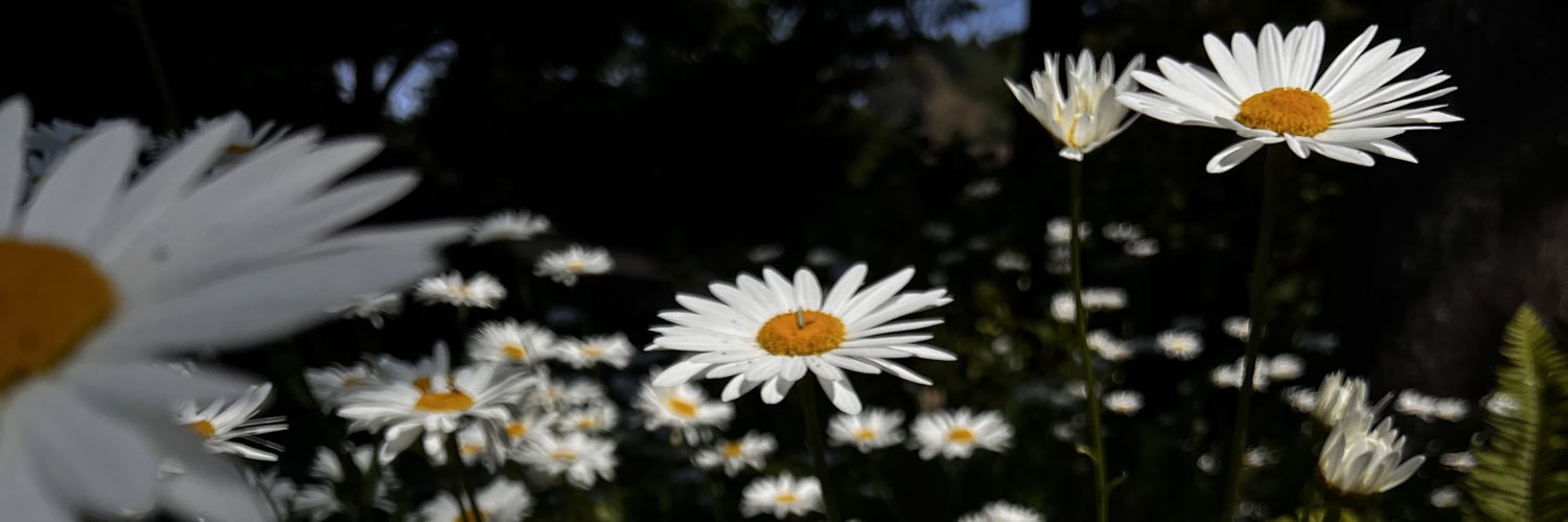 DeftonesAndDrive banner