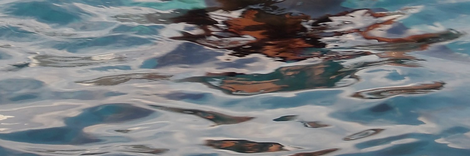Mhingue's profile banner image
