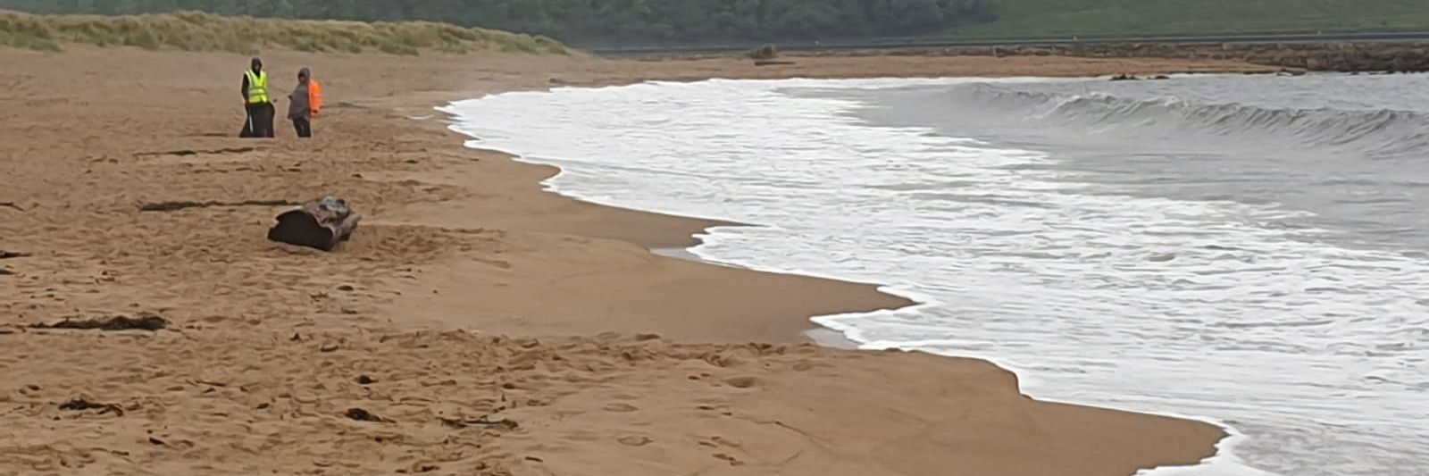 Louise Harrington banner