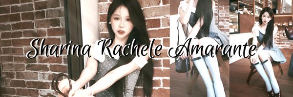 sunfluffie Profile Banner