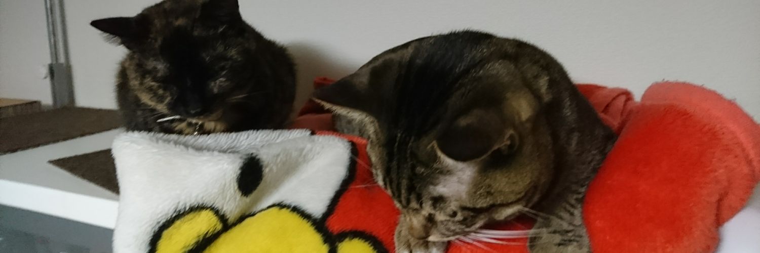 taki2525's profile banner image