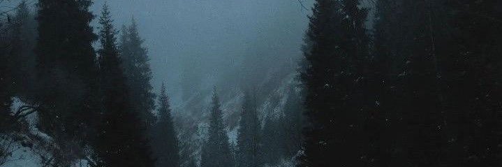 spookyyspice_'s profile banner image