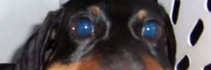 Coin2007's profile banner image