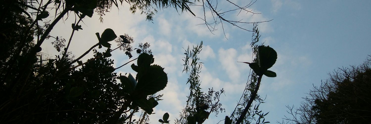 fumikeitou's profile banner image