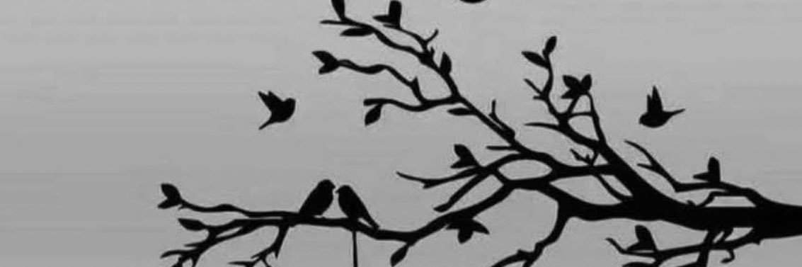 al_abdash's profile banner image