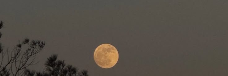 sanchezbeln's profile banner image