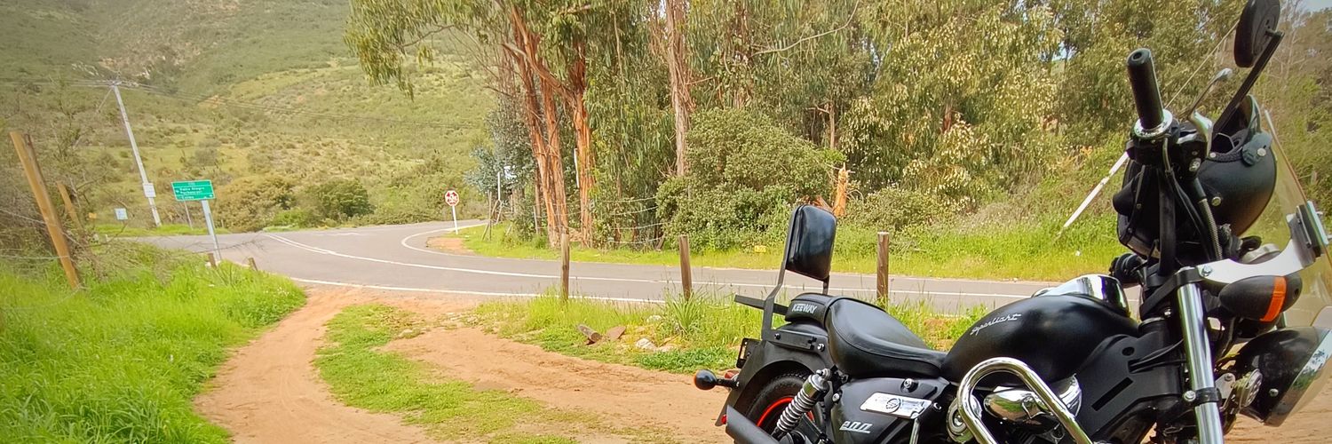 ✖️ChileanCapibara✖️ banner