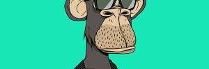 DoraWhe45848735's profile banner image