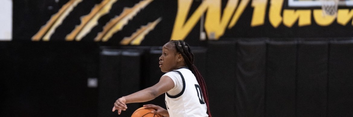 Tamara Elliott banner