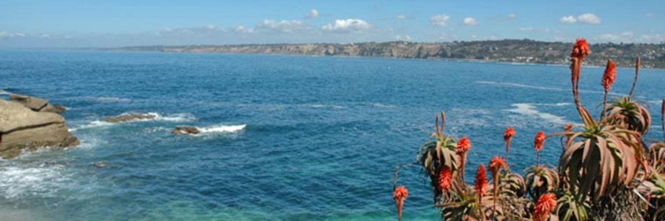 ctlajolla's profile banner image