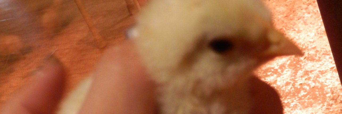 1149622's profile banner image