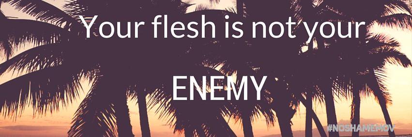 noshamemov's profile banner image