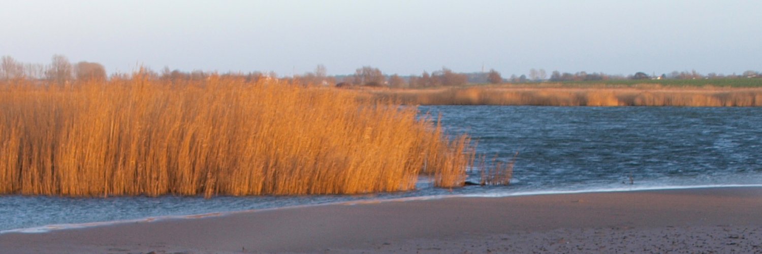 Einfach einfach banner