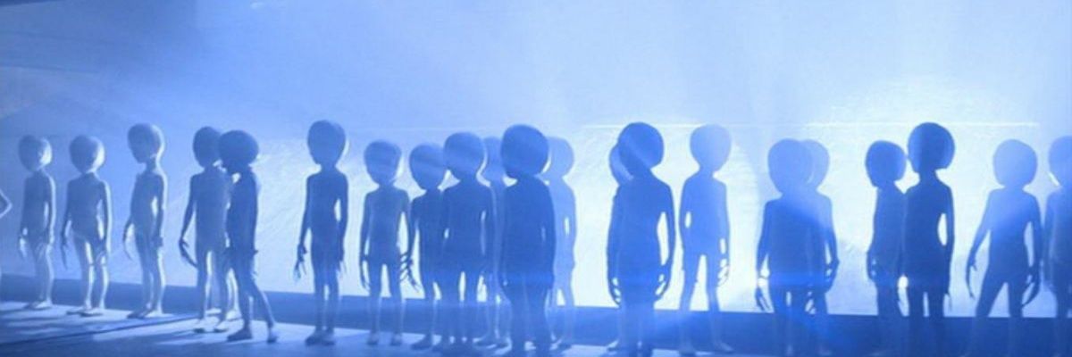 newsnet🌃🌆🌇🏙 banner