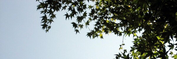 koh_sy Profile Banner