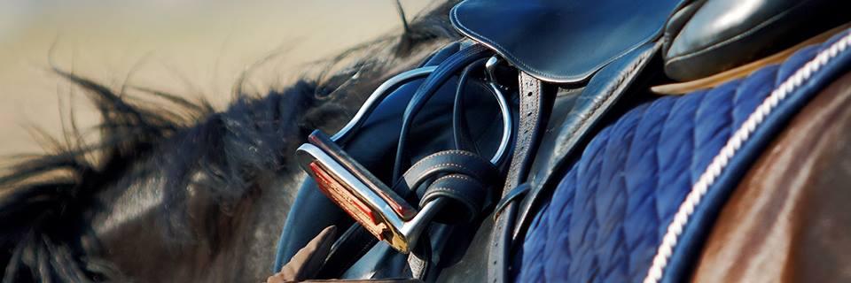 horseriderguide's profile banner image