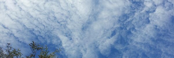 luanlmd Profile Banner