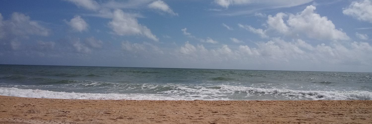 rant_lady's profile banner image