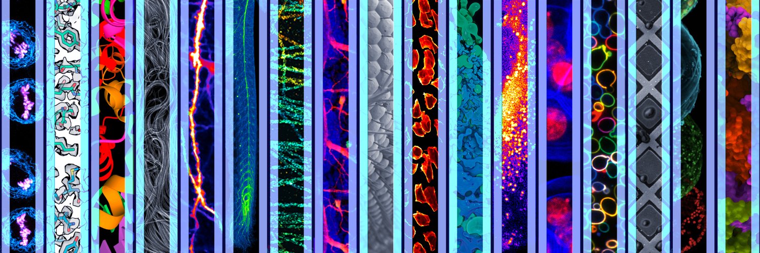 EMBL Imaging Centre's banner