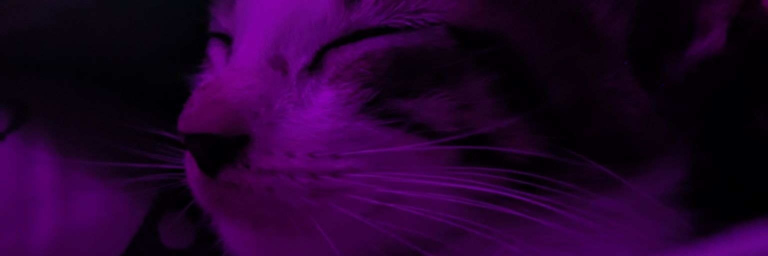 TCratostm's profile banner image