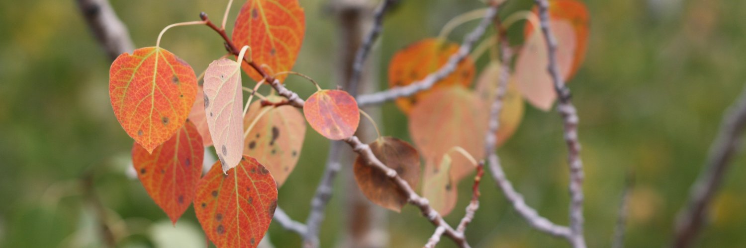 HeatherRayBooks's profile banner image