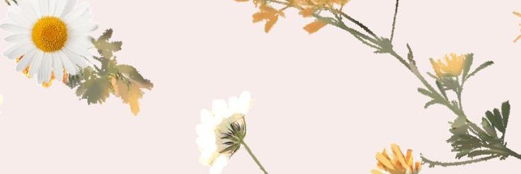 islannismo's profile banner image