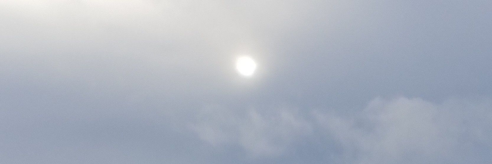 Pedro José Rivera Giraldo 🌳🌈 banner