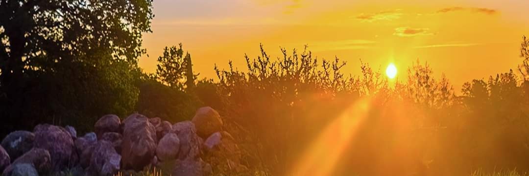 Rehanjupiter's profile banner image