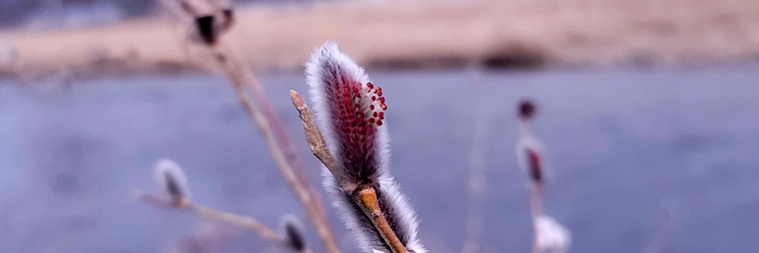 참보수(mtmiso) banner