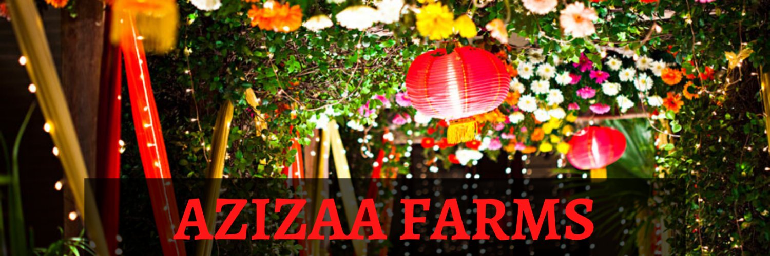 farmsazizaa's profile banner image