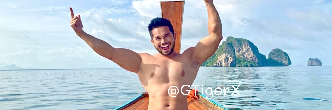 GTigerX's profile banner image