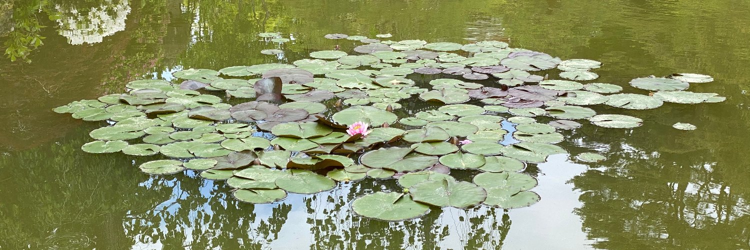 Kimiko Sekiguchi banner