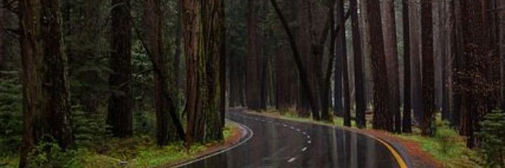 greysighh's profile banner image