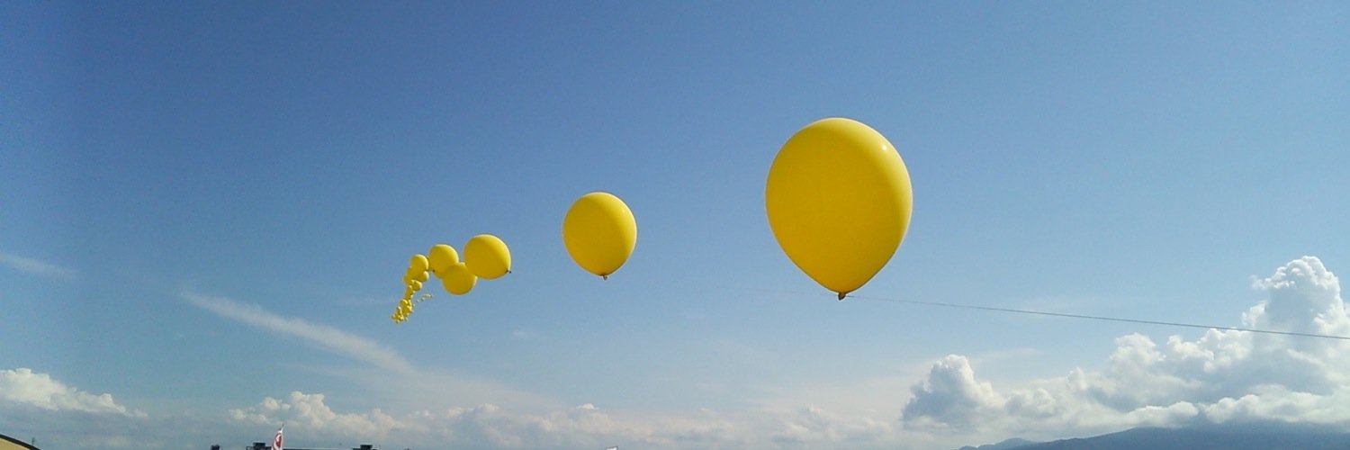 zzspr's profile banner image