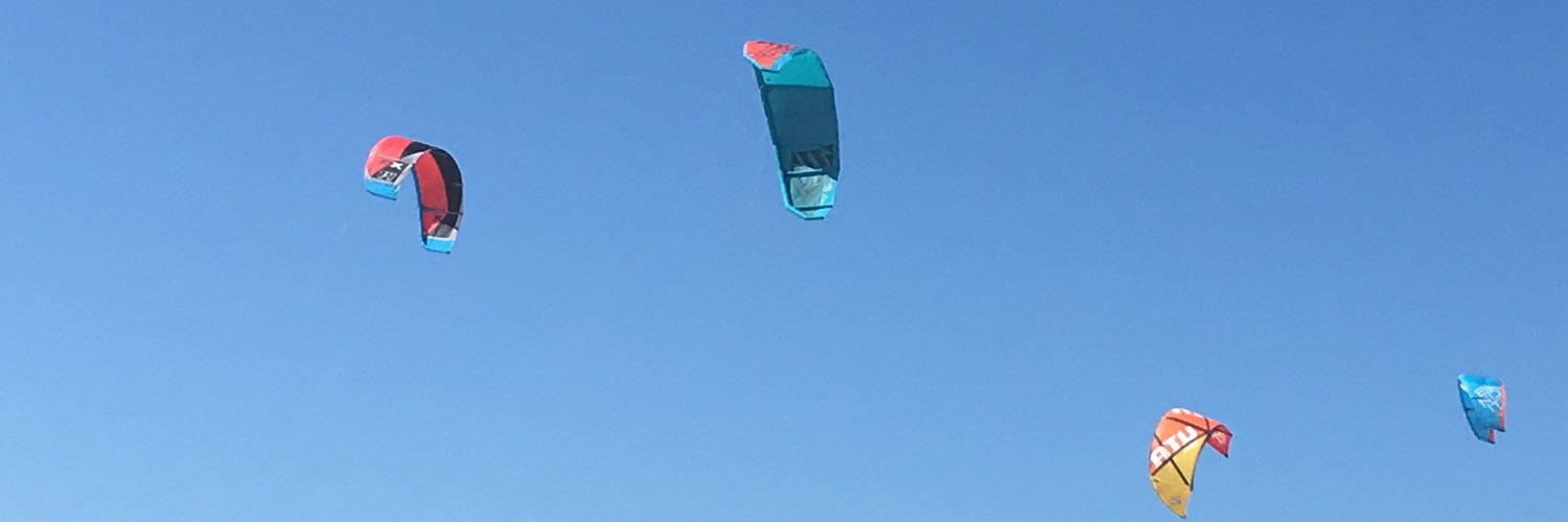 Michelle 🌻❤🌍 banner