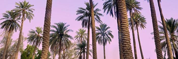 ⚖ إبراهيم الحسين banner