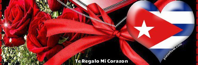 Beatriz Navarro banner