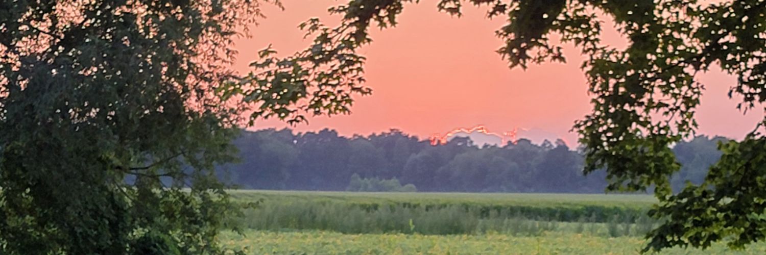 ScarletDeeva's profile banner image