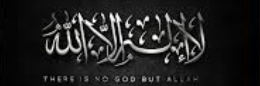 aali'shah Syed's banner
