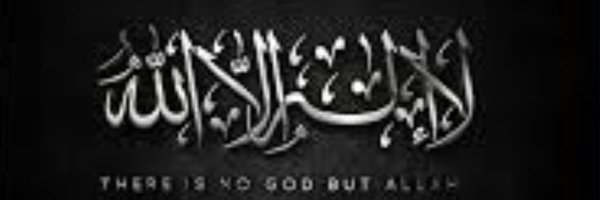 syedaalishahh Profile Banner